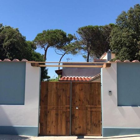 Апартаменти Viareggina Con Giardino Маріна-ді-Піза Екстер'єр фото